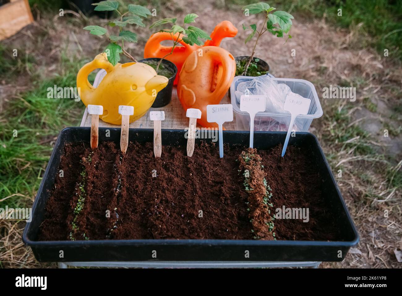 seedling cultivation greenhouse farm natural Stock Photo - Alamy