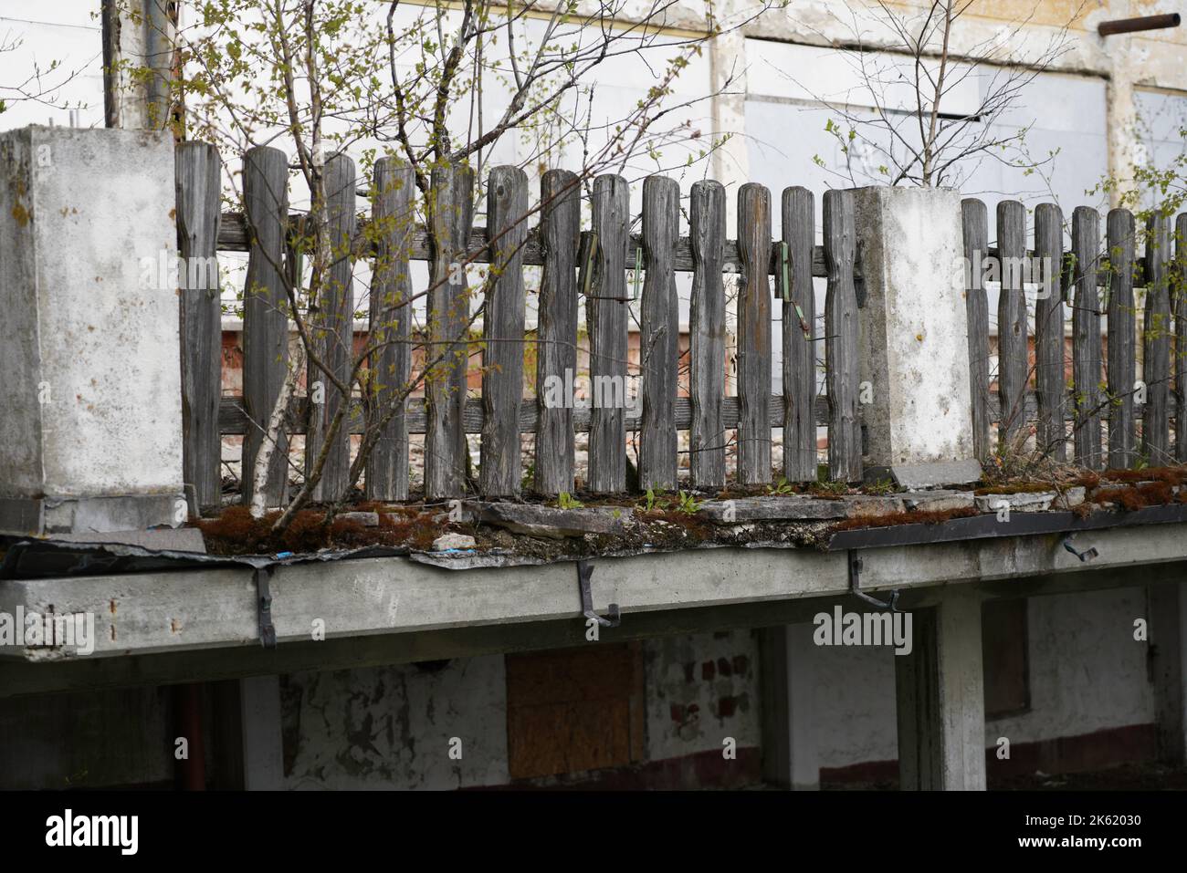 An old gray weathered wooden fence Stock Photo - Alamy