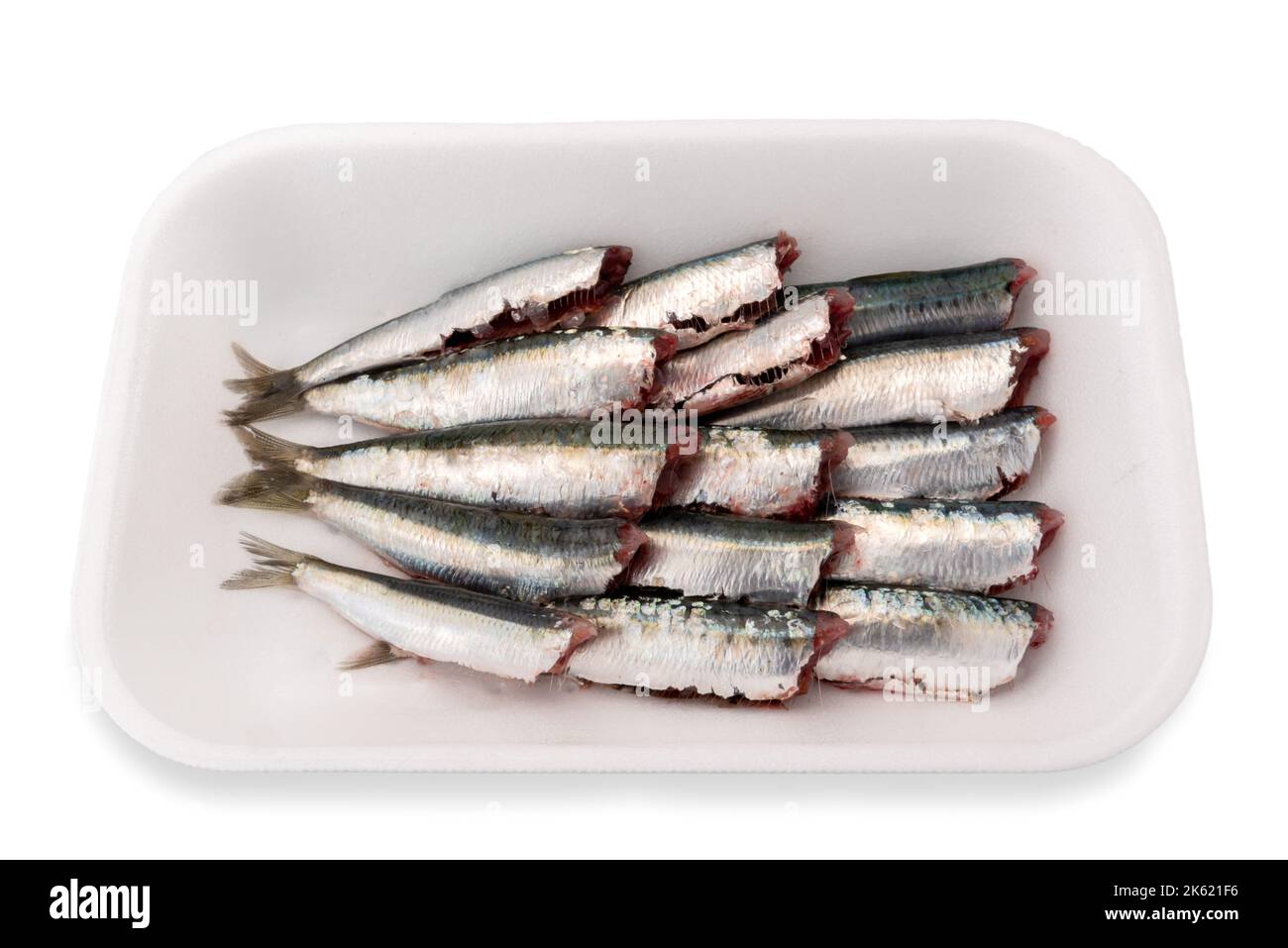 Clean sardines ready to cook in plastic food tray isolated on white, clipping path. Italian blue fish Stock Photo