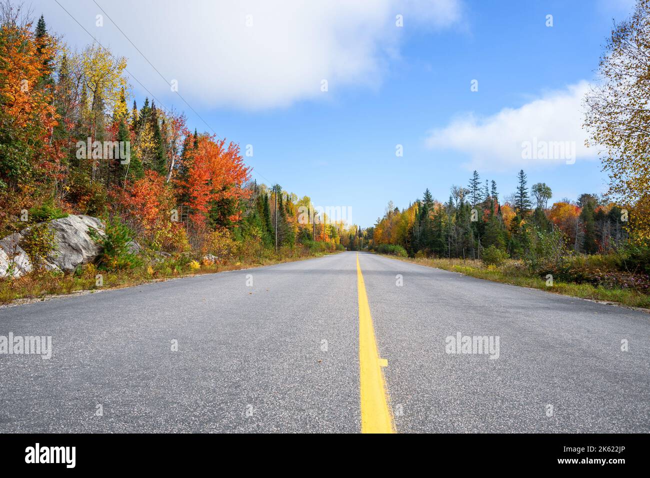 Straight stretch of a forest road on a sunny autumn morning, Stunning autumn colours. Stock Photo