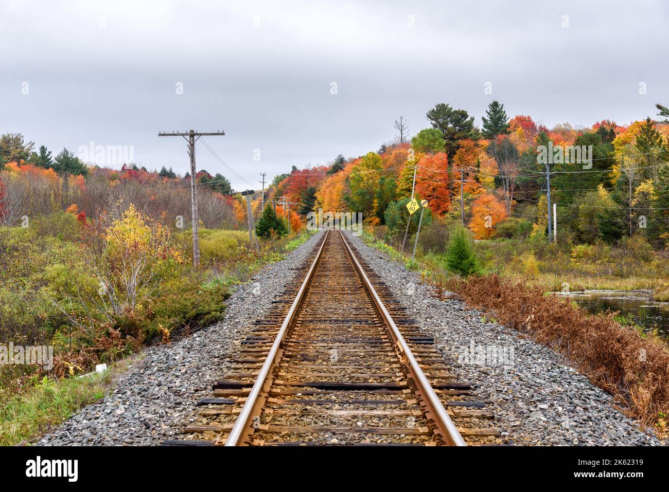 Railway track running through a a forested landscape at the peak of autumn colours on a cloudy day Stock Photo