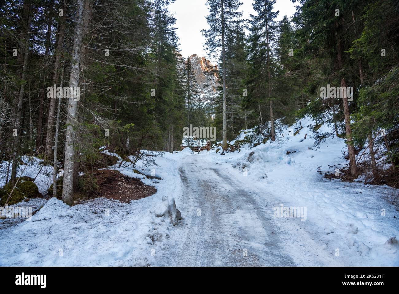Empty snow covered road through a forest in the mountains at sunset in autumn Stock Photo