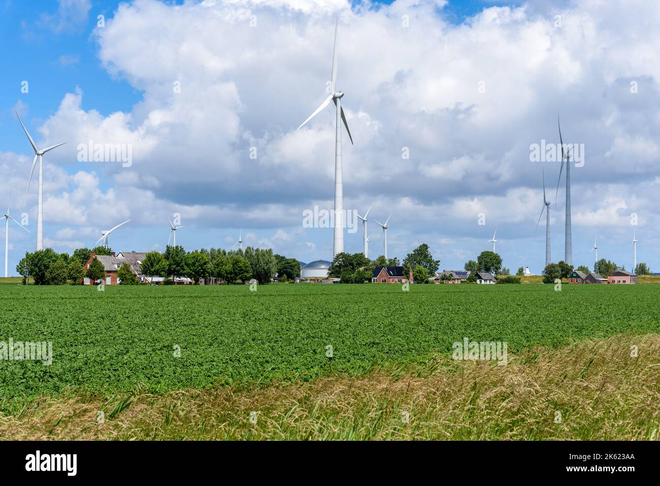 Wind turbines in a cultivated field in the countryside of Netherlands on a summer day Stock Photo