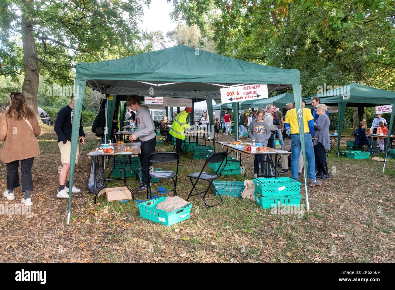 Blackmoor Apple Tasting Day, an annual autumn event in the Hampshire village, England, UK, during October Stock Photo