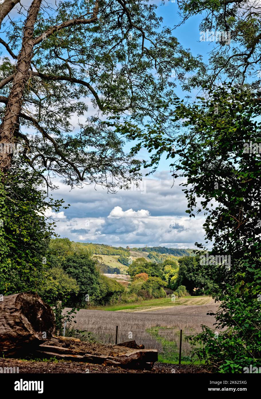 The Surrey Hills and North Downs looking east on a sunny early autumn day near Dorking England UK Stock Photo