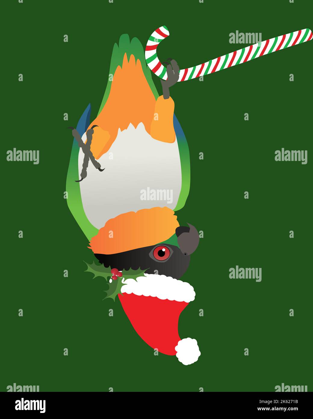 A digital vector illustration of a cute black headed caique. He is wearing a Christmas hat and hanging upside down on a candy cane. Stock Vector