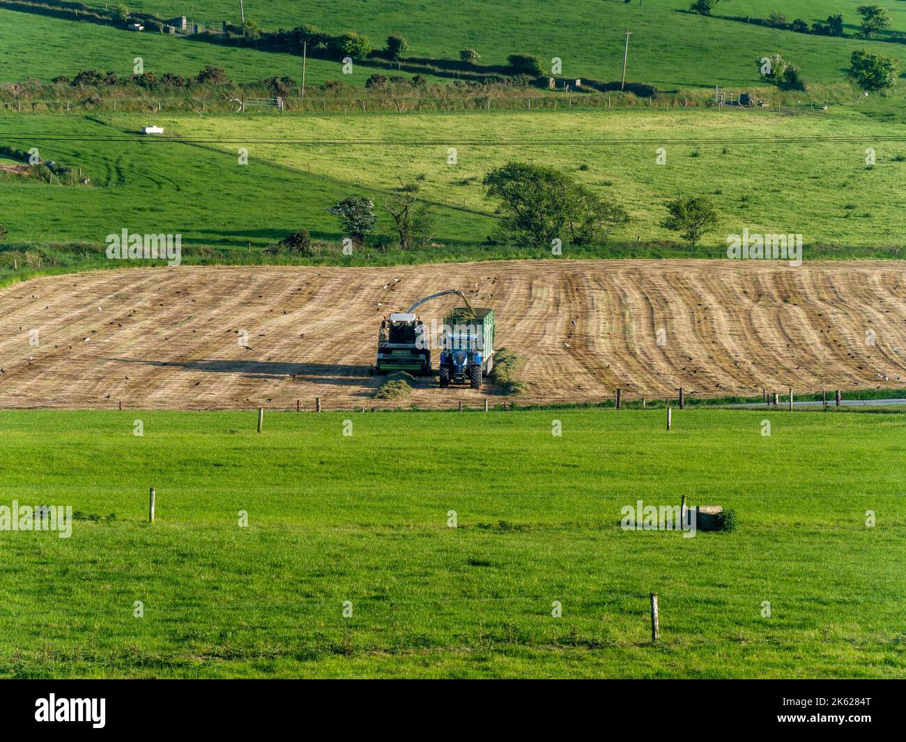 Animal feed silo hires stock photography and images Alamy