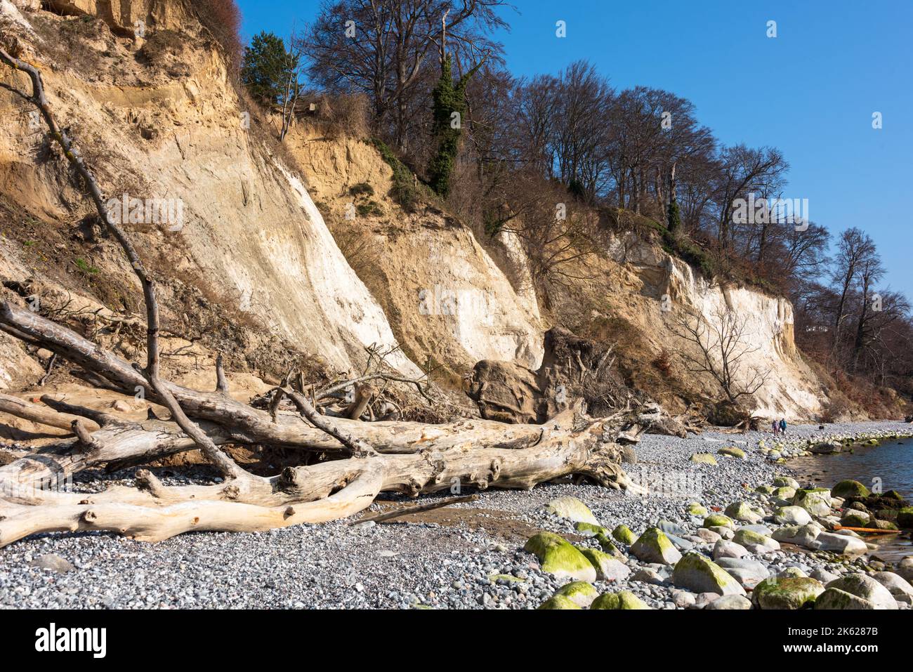 Ostseeinsel Rügen Kreidefelsen an dem Wanderweg bei Sassnitz an einem sonnigen Wintervormittag Stock Photo