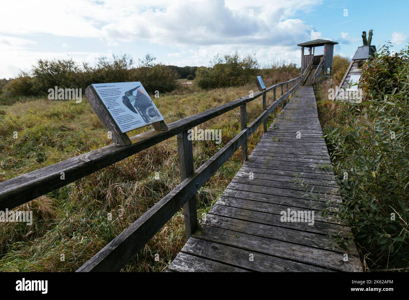 Wooden paths with information boards in the otter biotope Lunestedt near Beverstedt. Stock Photo