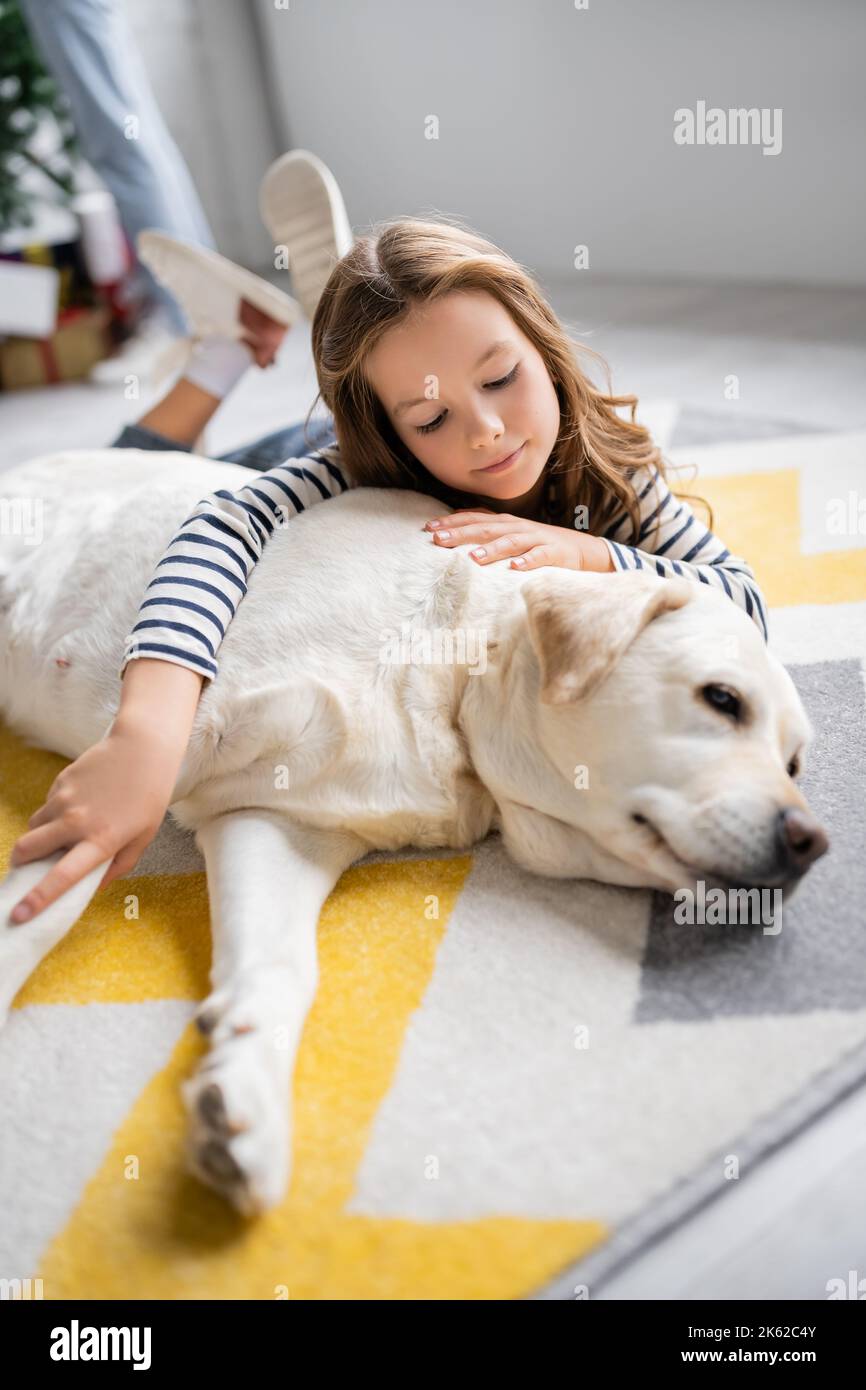 Holiday labrador hi-res stock photography and images - Alamy
