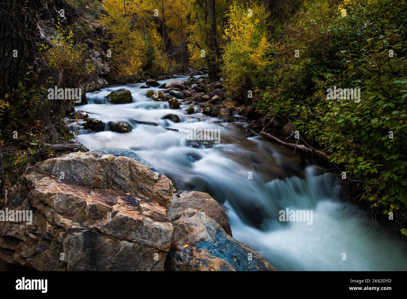 Beautiful mountain stream in the Wasatch Mountains of Utah, USA.  This is one of many scenic mtn. streams east of Salt Lake City. Stock Photo