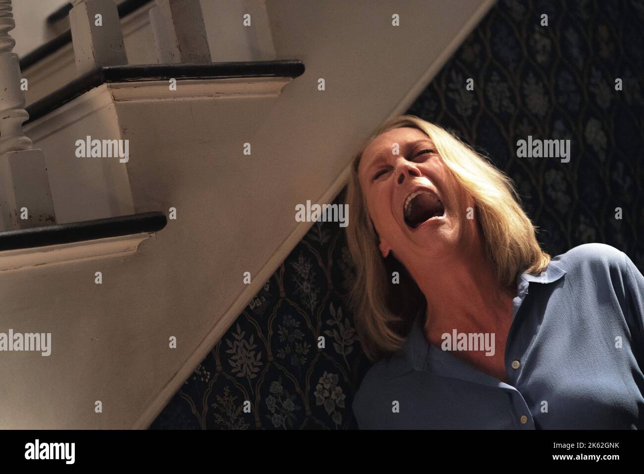 Jamie Lee Curtis Laurie Strode Jamie Lee Curtis Share vrogue.co