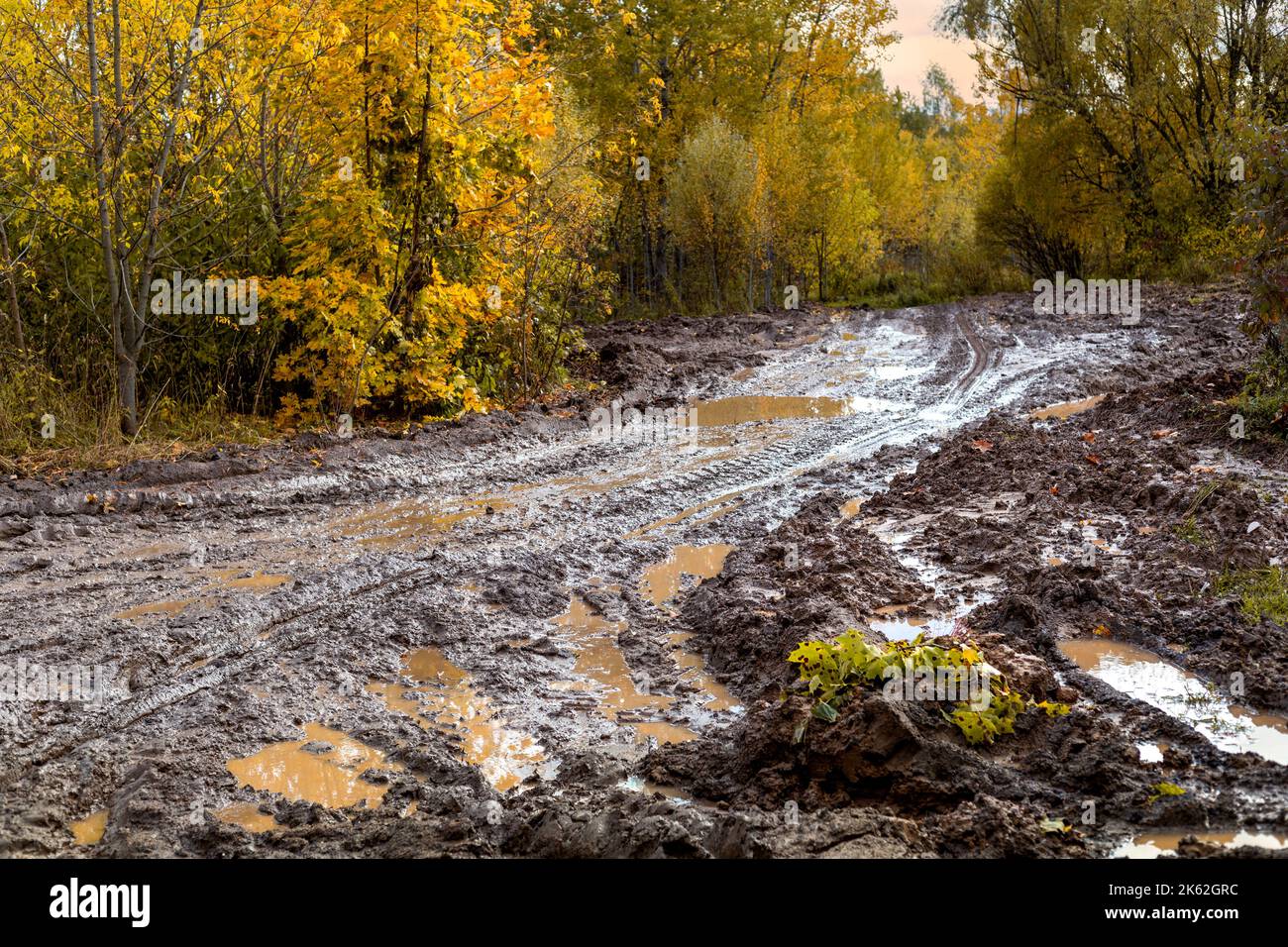 A dirty road impassable from the rain on the background of an autumn landscape. Stock Photo
