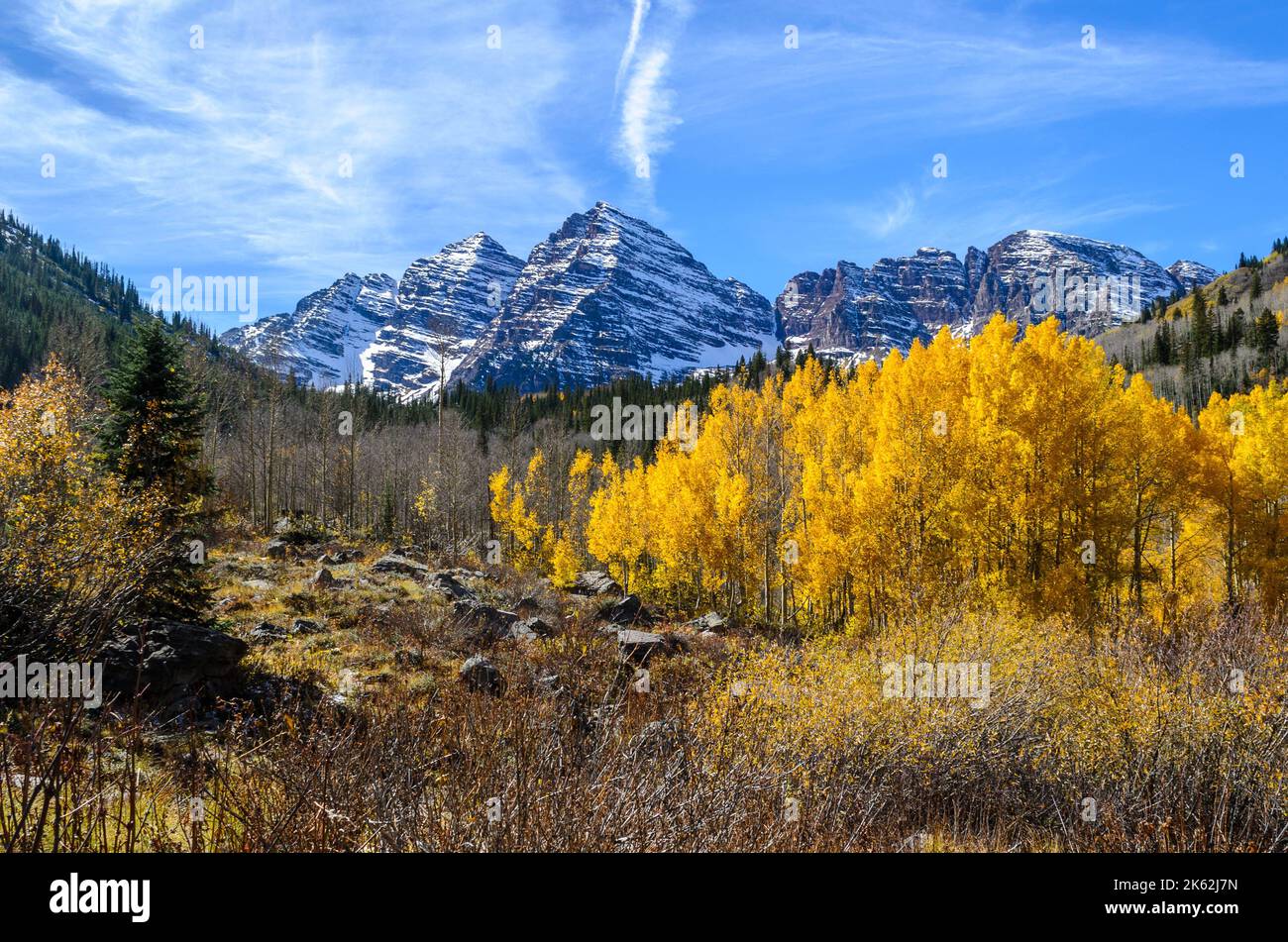 Fall Foliage in front of the Maroon Bells in Aspen, CO Stock Photo