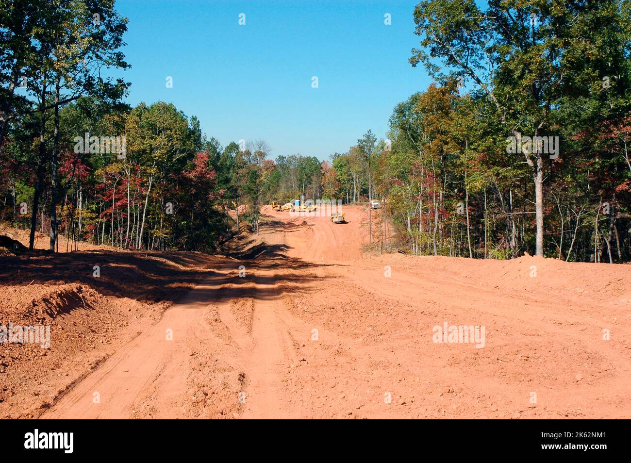 Stripping trees and woods for new homes on bear land after years of
