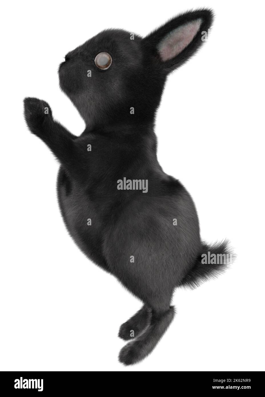 Cute little black bunny or rabbit, 3D Illustration Stock Photo - Alamy