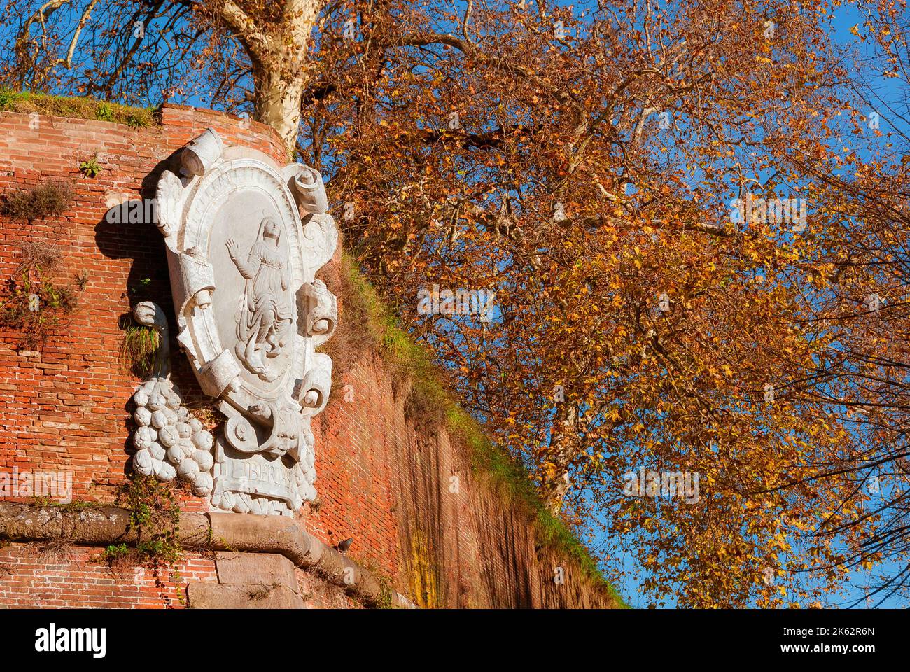 Autumn and foliage in Lucca. Anciet city walls Saint Mary Bulwark with sycamore autumnal leaves Stock Photo