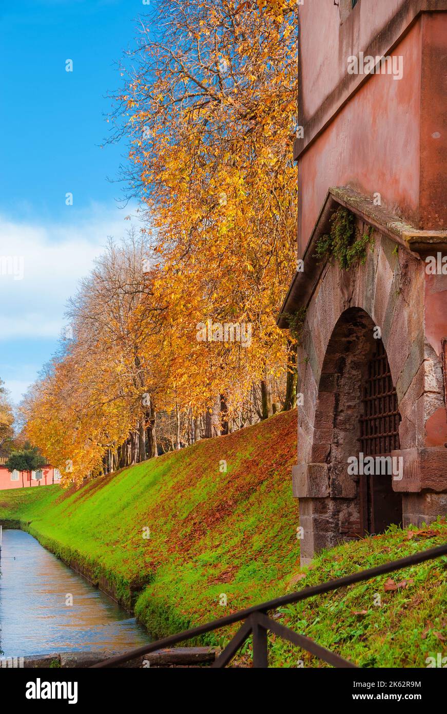 Autumn and foliage in Lucca. Anciet city walls park with sycamore autumnal leaves Stock Photo