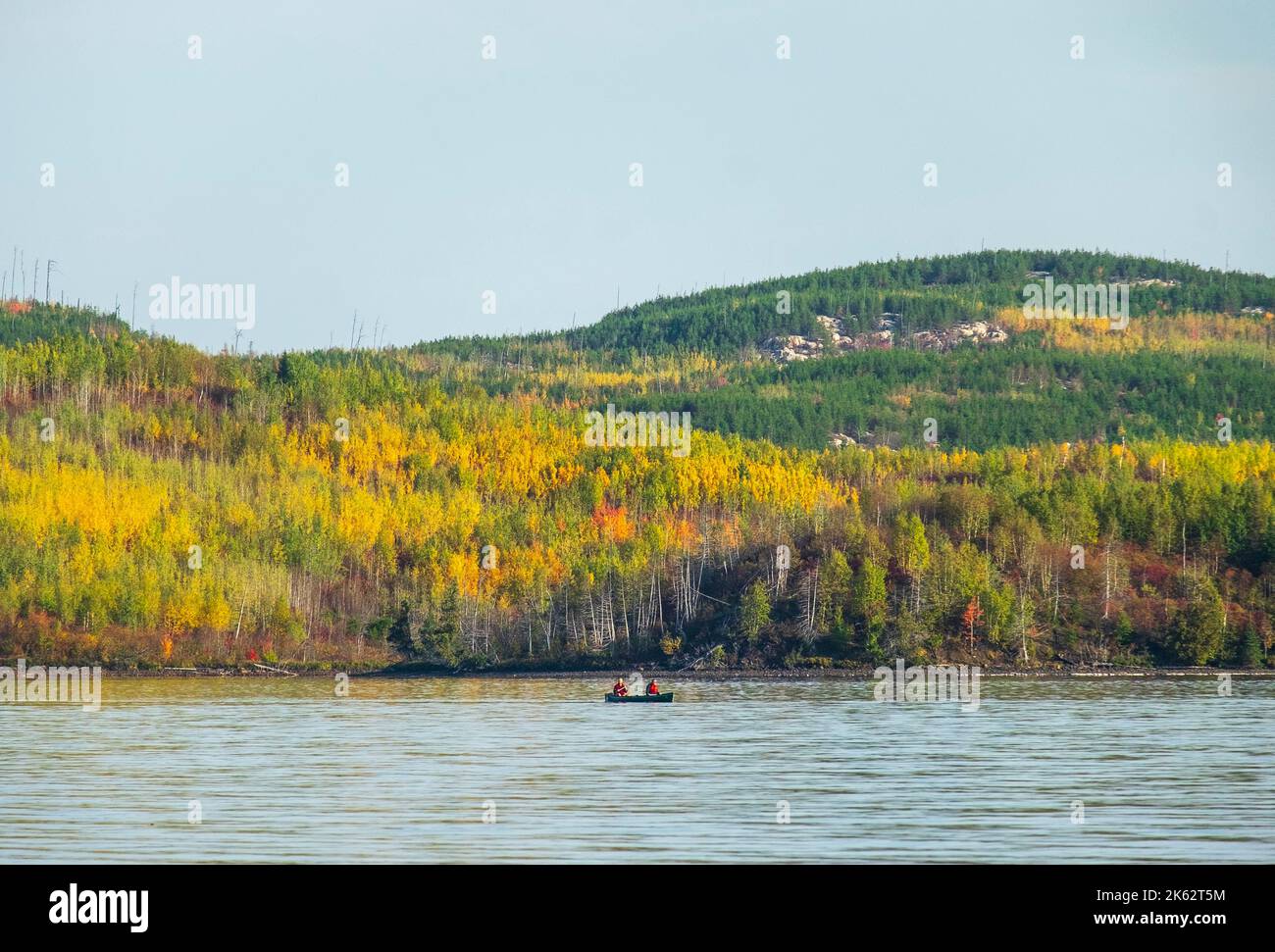 Gunflint Lake, U.S.-Canada border, Minnesota/Ontario, paddlers canoeing on the lake, yellow leaves changing in the fall Stock Photo