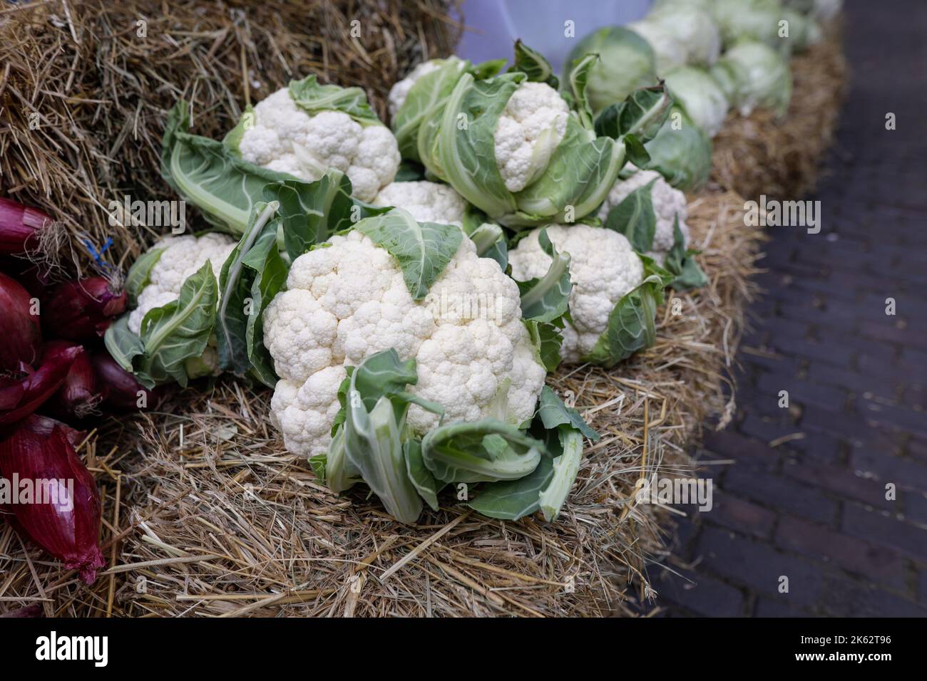 Shallow depth of field (selective focus) details with cauliflowers in an european farmers market. Stock Photo