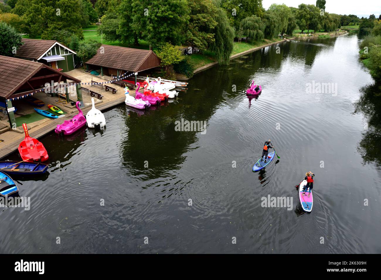 Warwick Boats hiring out swan and dragon pedalos, row boats, canoes