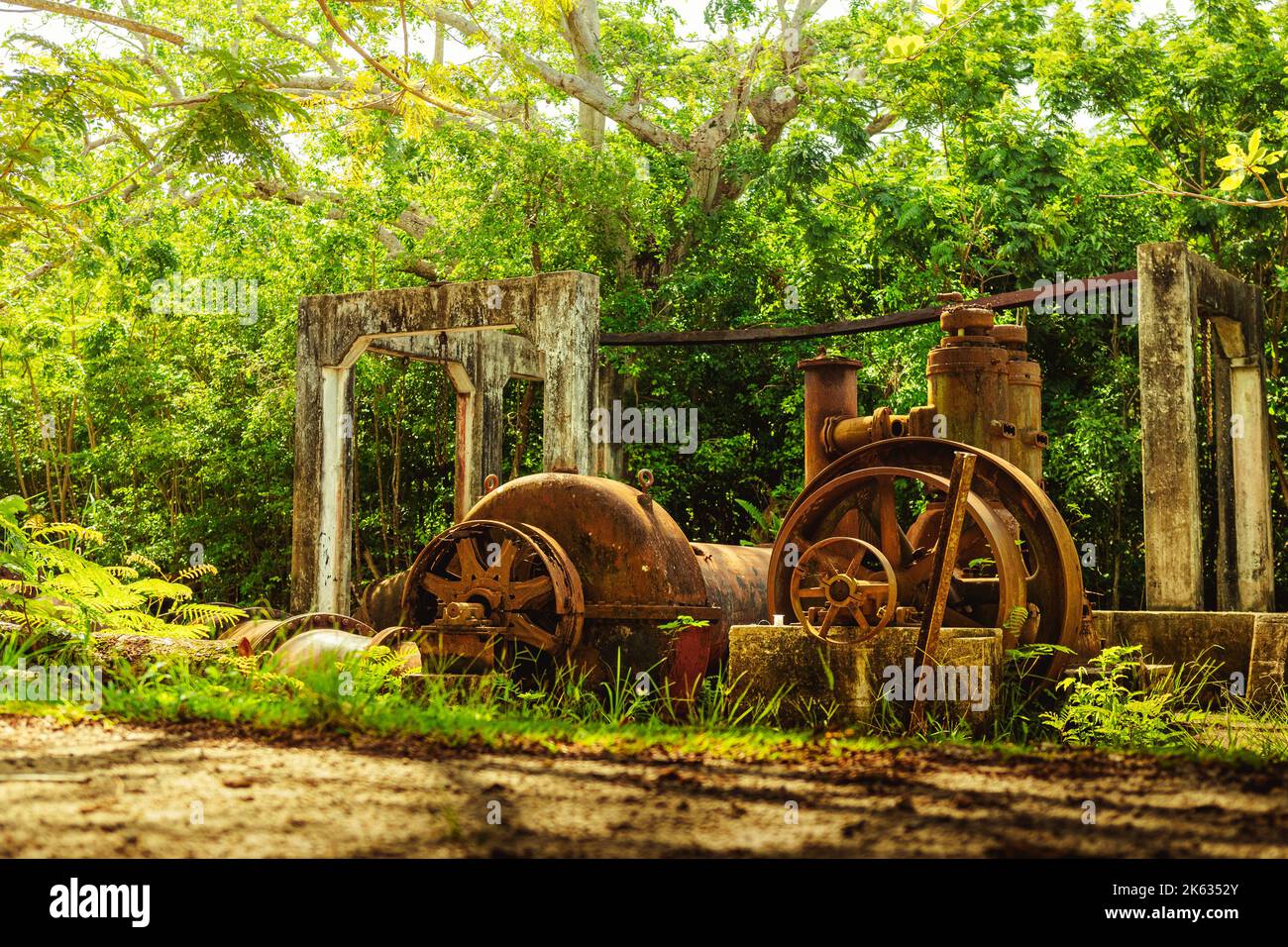 Old rusty machine with beautiful greens and trees, quarry heatherlie in ...