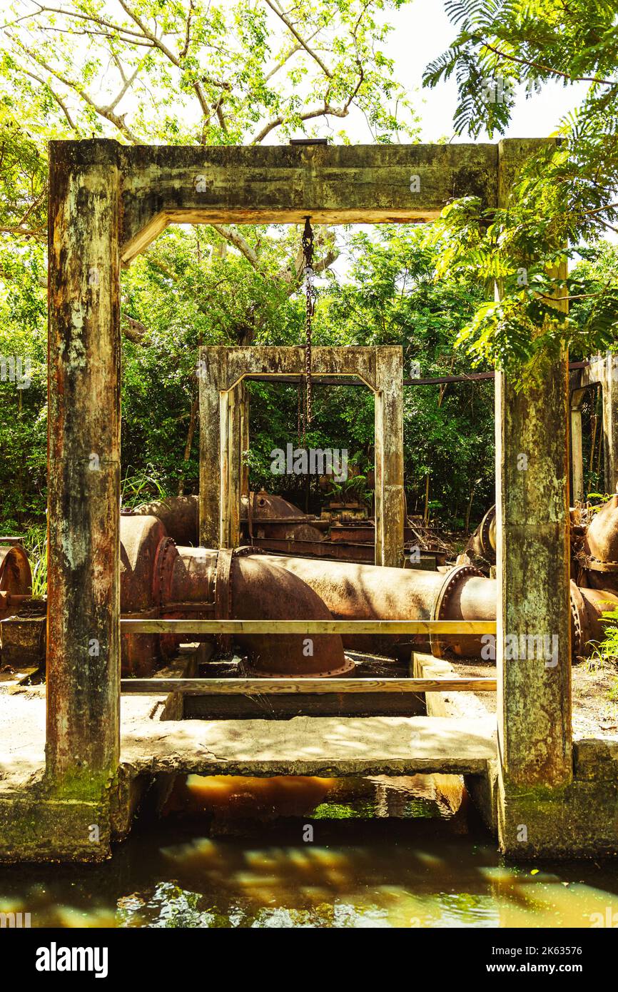 Old rusty machine with beautiful greens and trees, quarry heatherlie in ...