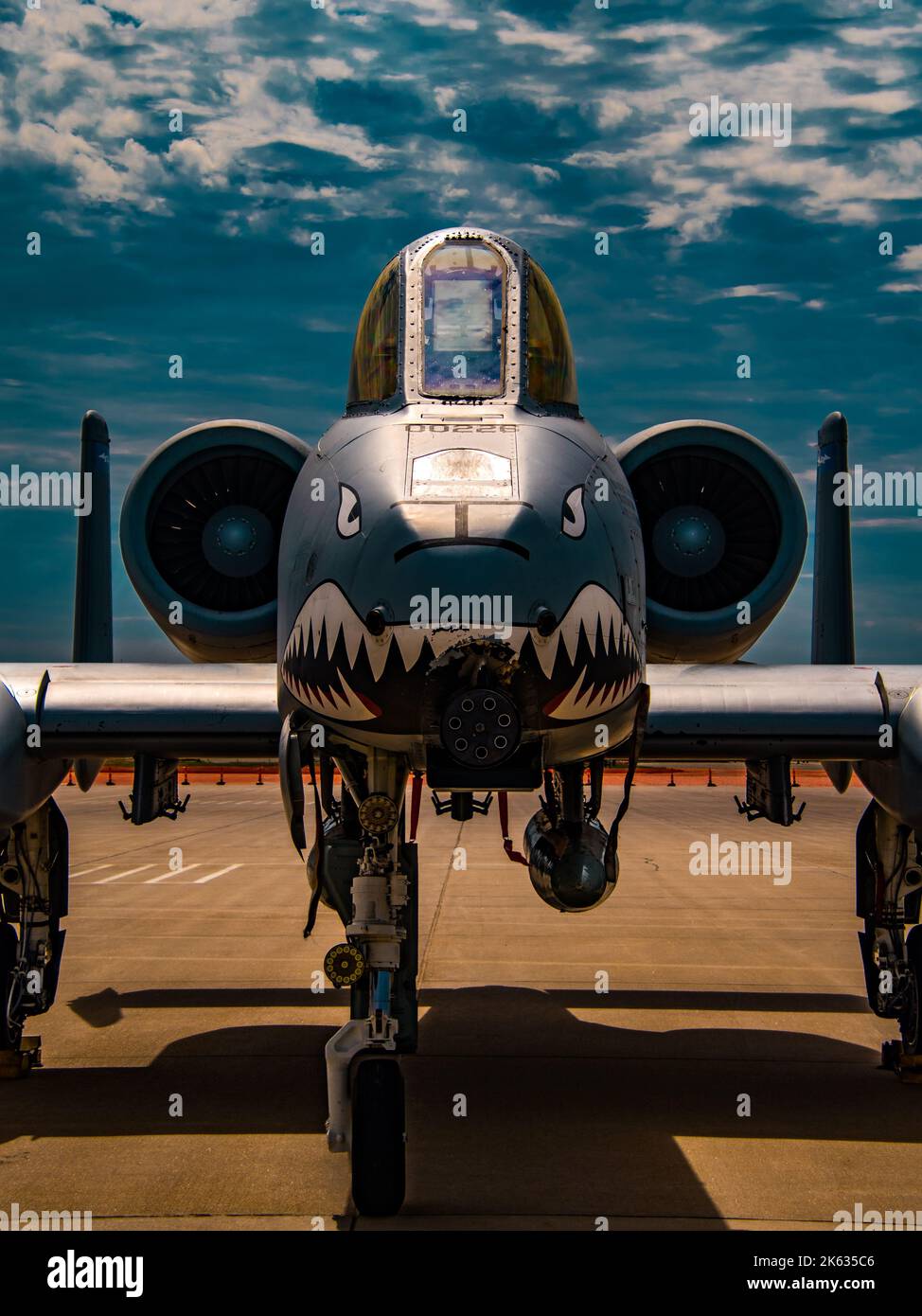 The vertical view of a shark-faced Fairchild Republic A-10 Thunderbolt II parked under the cloudy sky Stock Photo