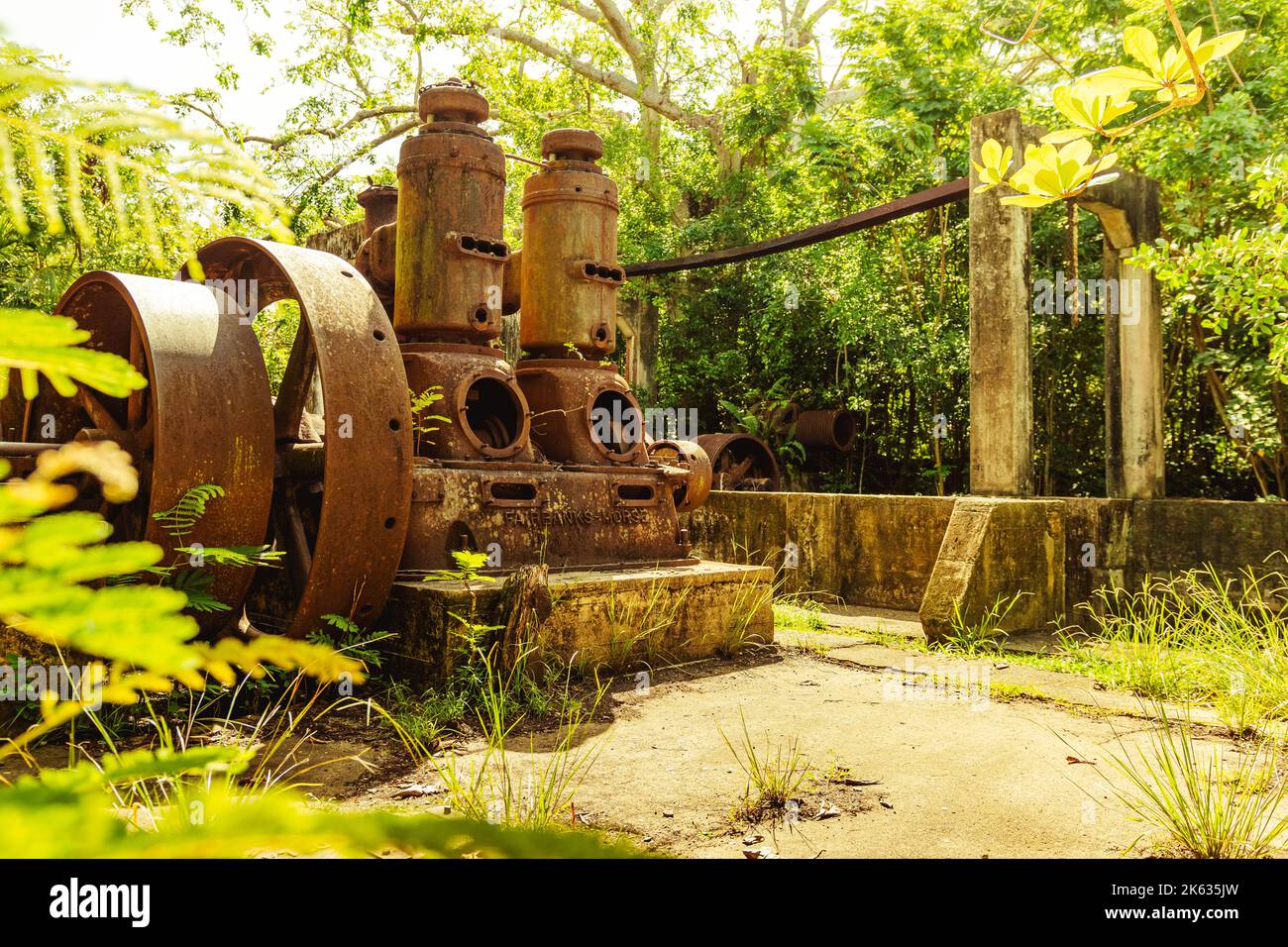 Old rusty machine with beautiful greens and trees, quarry heatherlie in ...