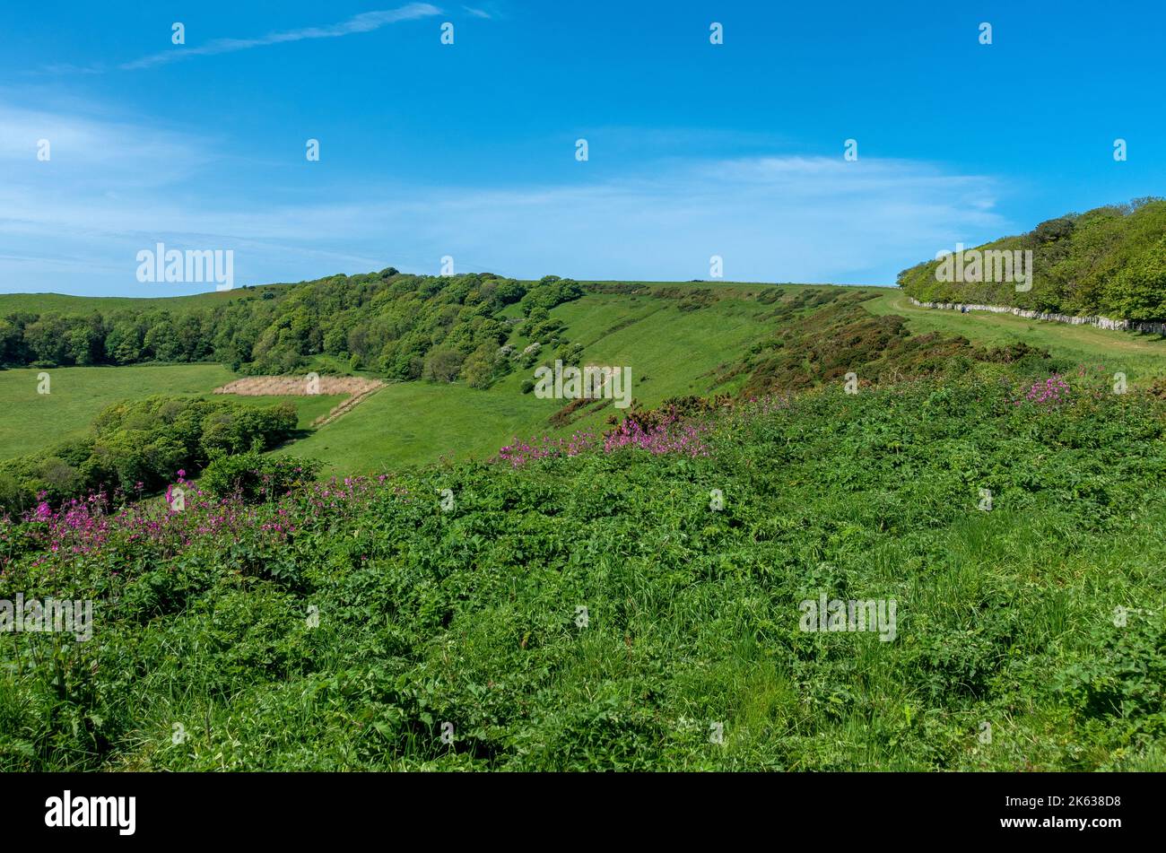 The beautiful walk across the ridge from the local car park to Swyre ...