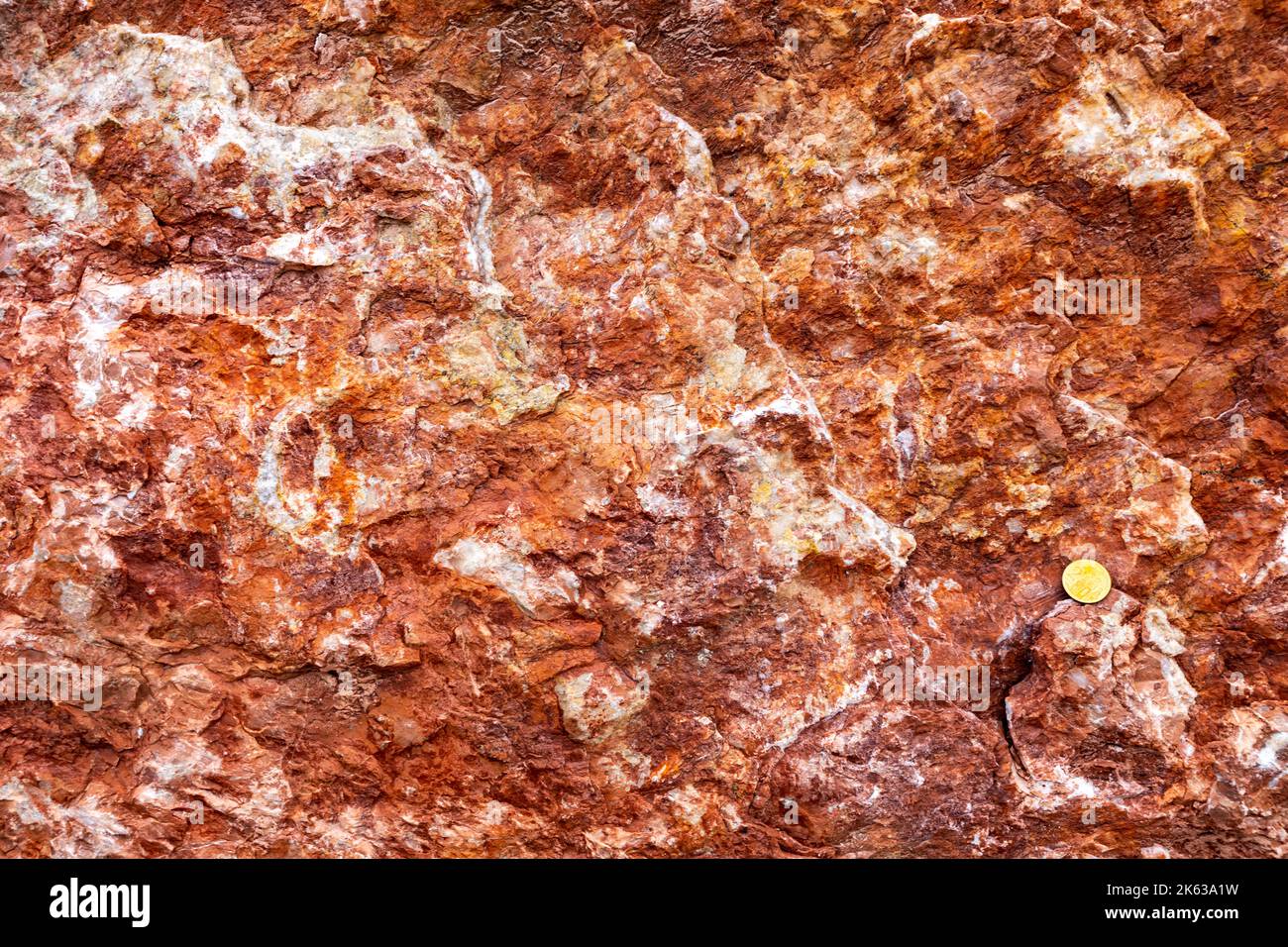 Closeup detail of the red limestone backdrop Stock Photo Alamy