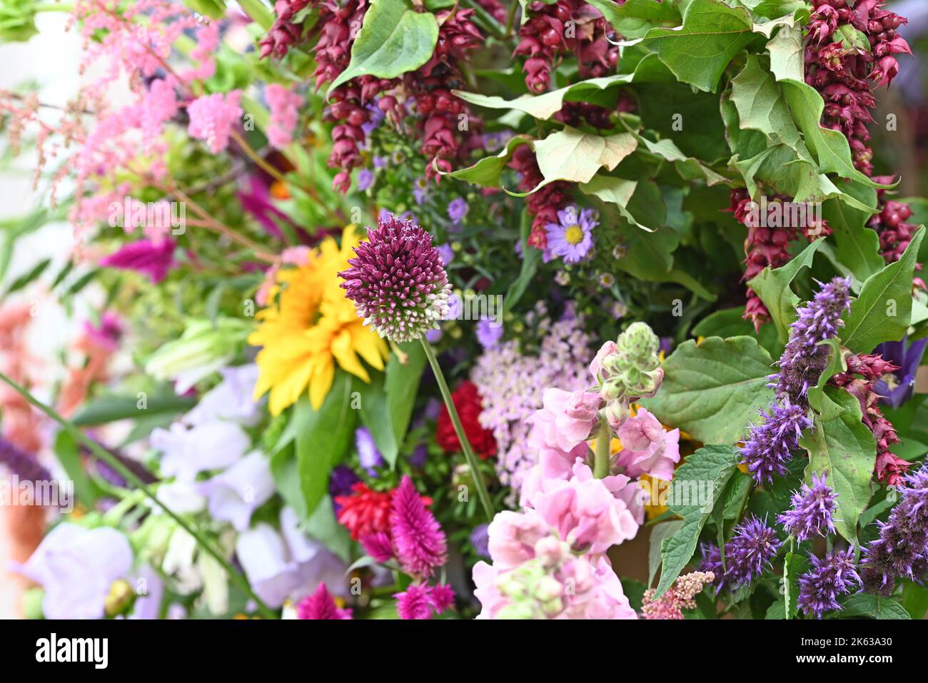 Colorful flower bouquet with Antirrhinum and sunflower. Stock Photo