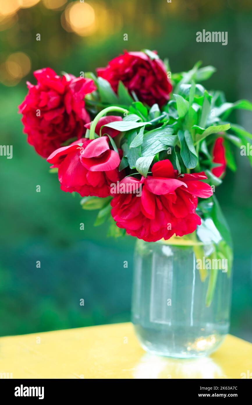 Bouquet of beautiful pink peonies in a vintage glass vase on a table ...
