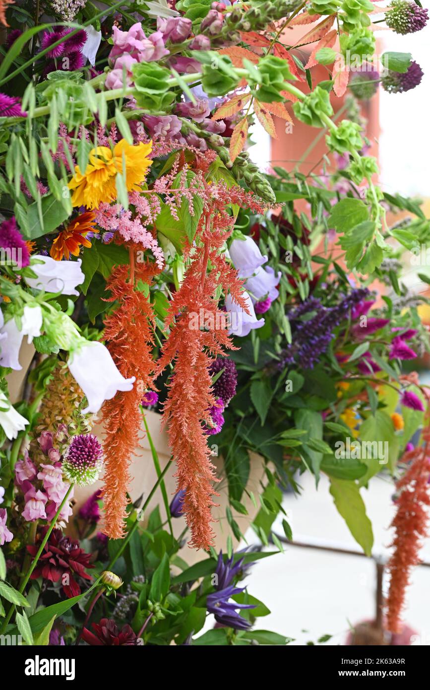 Colorful flower bouquet with Amaranthus and Allium. Stock Photo