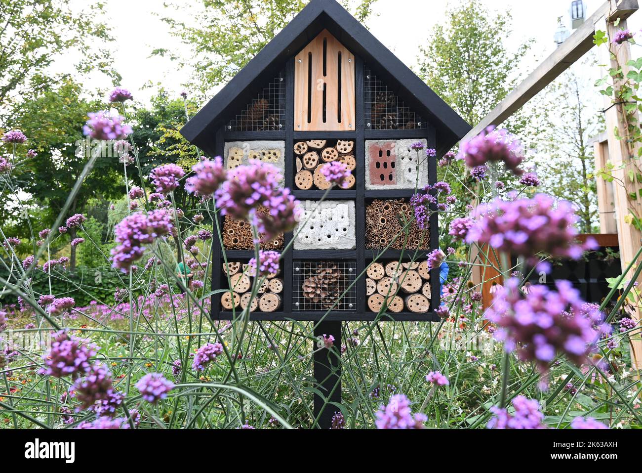 Decorative Insect house with compartments and natural components Stock