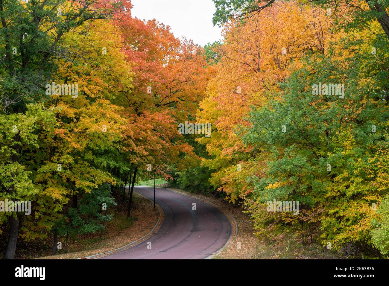 Landscape view of a paved road winding up a hill, lined with colorful ...