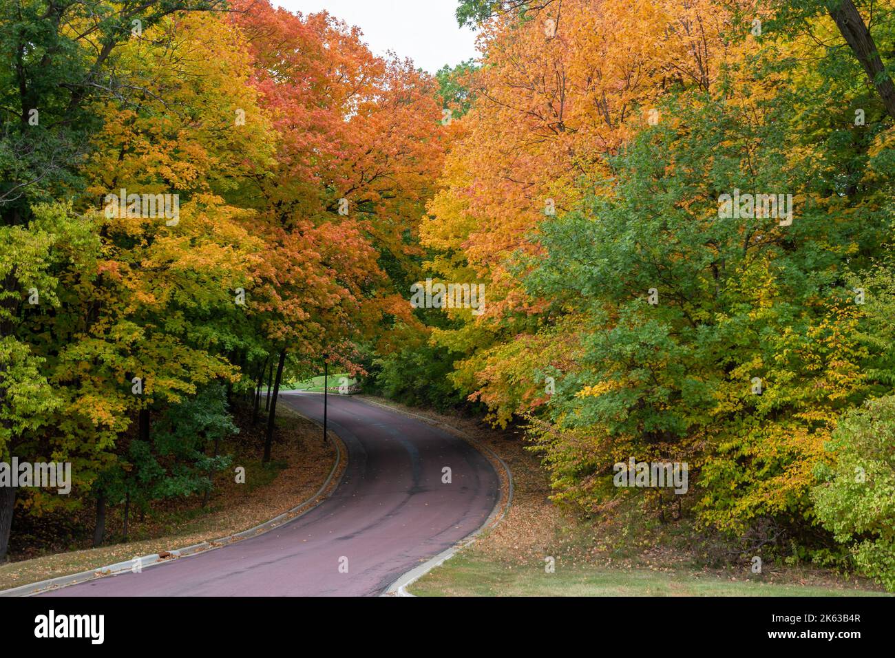 Landscape view of a paved road winding up a hill, lined with colorful ...