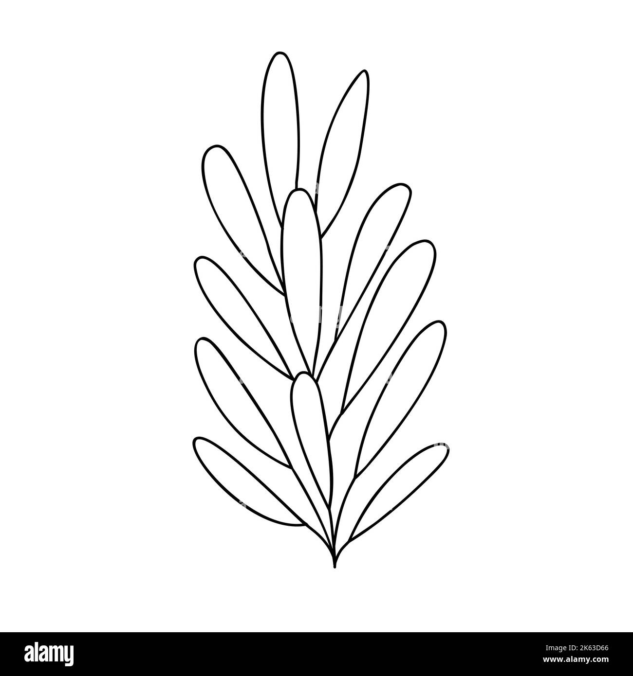 Outline plant decorative branch with leaves and berries for home decor 