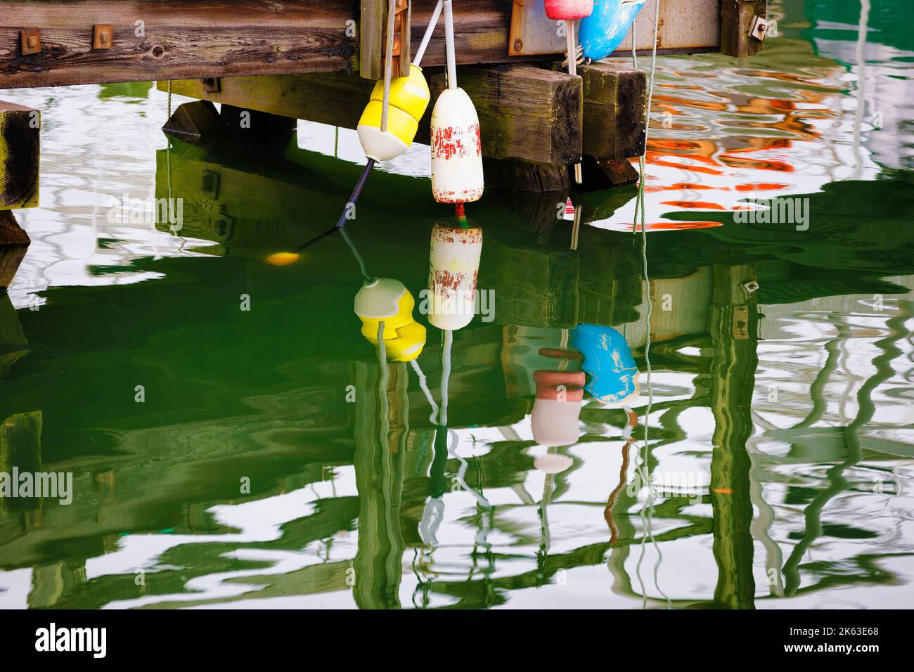 Reflection of floats hanging from dock in the seawater of Cape Bay at Plymouth Harbor. Stock Photo