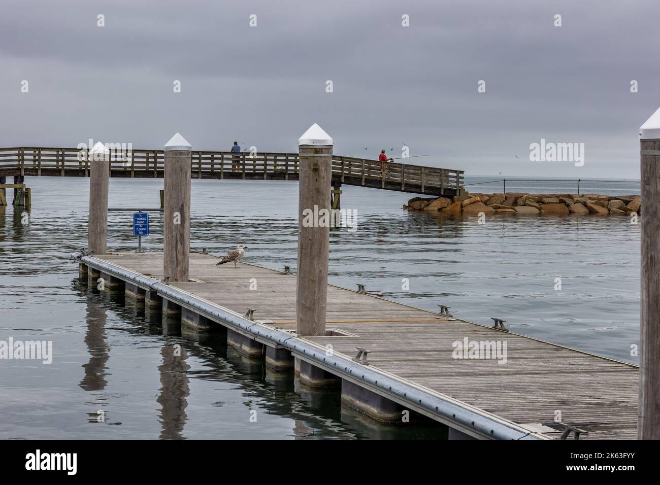 Plymouth, Massachusetts, USA - September 12, 2022: A seagul sits on a dock with fishermen fishing from dike and bridge in the background on Cape Bay a Stock Photo