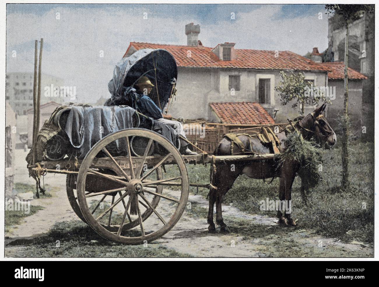 A wine cart in the outskirts of Rome Stock Photo - Alamy