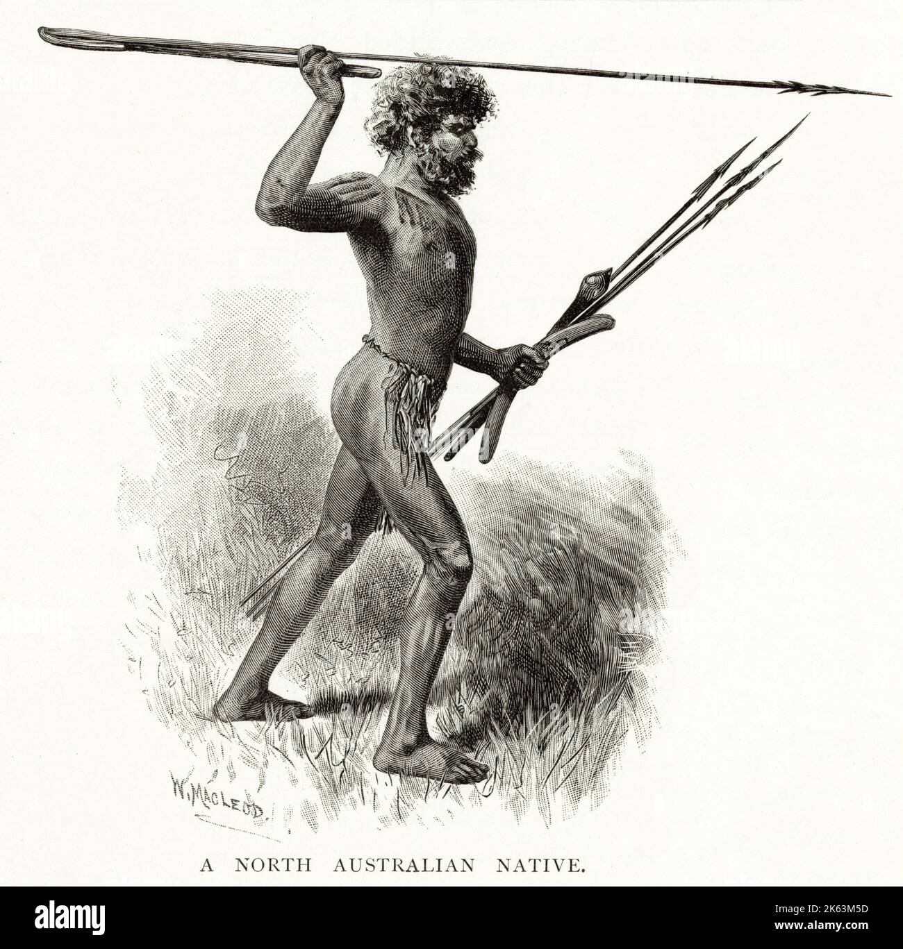 A Native Australian with his WOOMERA throwing stick Date 1891 Stock Photo Alamy