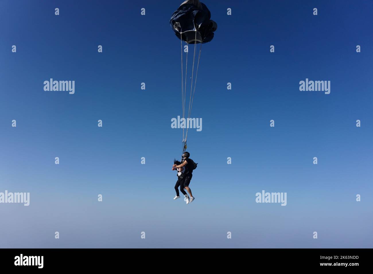 Dubai, United Arab Emirates: certified skydiving tandem instructor, with a first-timer attached via harness, releases the parachute to stop free fall. Stock Photo