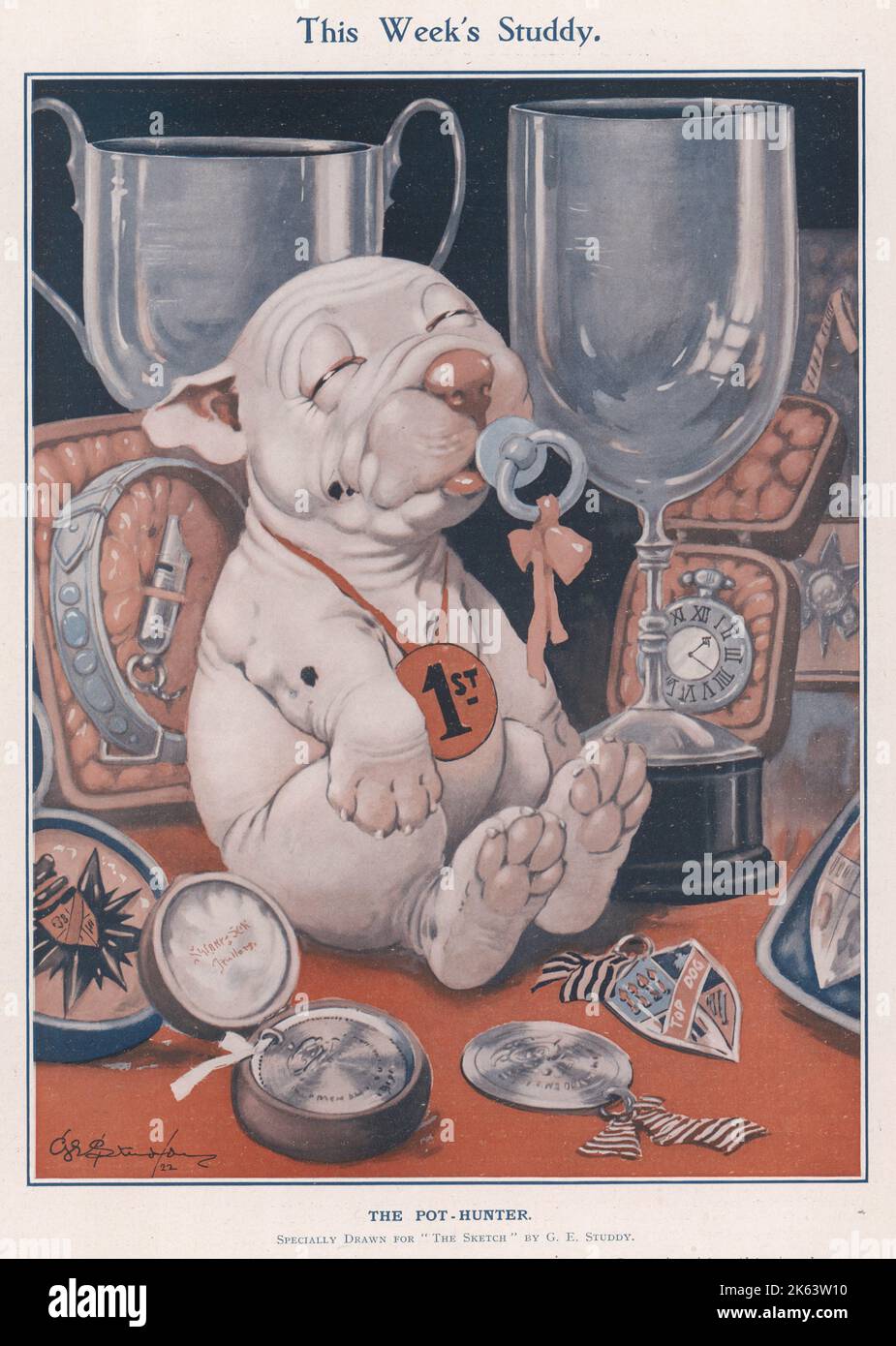 Bonzo here shows what might have been, had his pedigree been equal to his popularity.  A cute and contented looking Bonzo the dog sucks on a dummy as he sits among the numerous trophies and prizes he has won at dog shows - or at least would have done if only he had not been a mongrel. Credit line must read: ©Estate of George Studdy/Gresham Marketing Ltd./Mary Evans     Date: 1922 Stock Photo