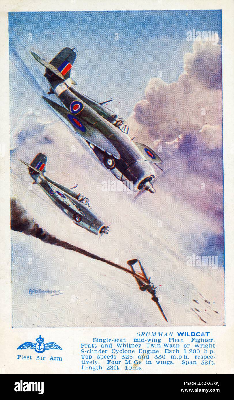Grumman Wildcat - Single-seat mid-wing fleet fighter - Pratt and Whitney Twin-wasp or Wright 9-cyclinder Cyclone Engine. Each 1,200 H.P. Top Speeds 325 and 330mph respectively. Four machine guns in wings. Span 38ft. Length 28ft. 10'. Stock Photo