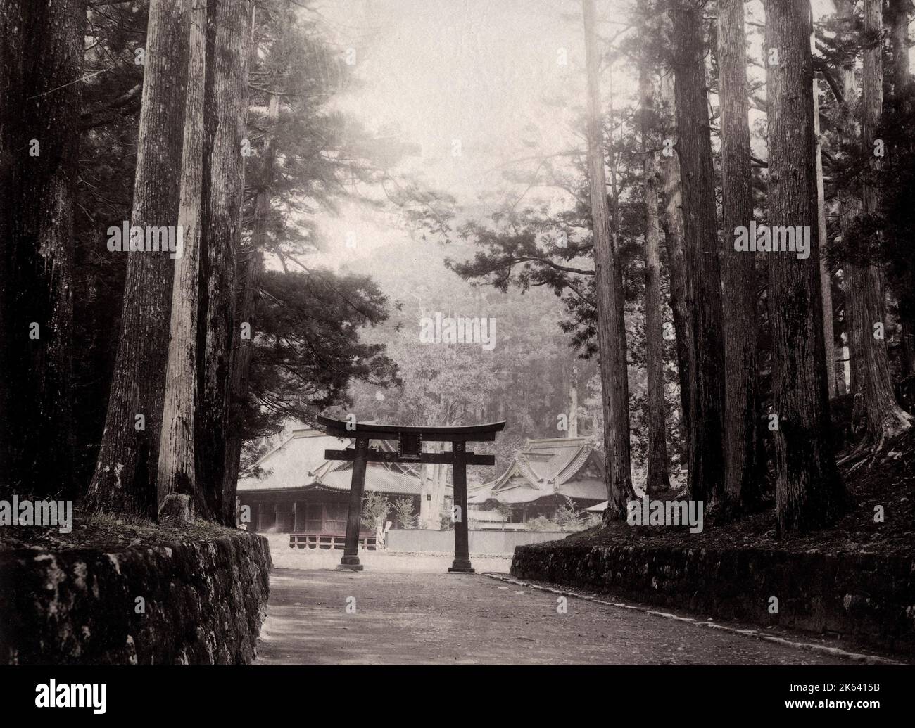 Vintage 19th century photograph: Temple and torii at Nikko, Japan Stock Photo