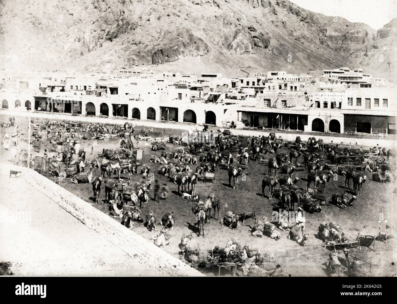 19th century vintage photograph: Camel halt and market, Aden, Yemen Stock Photo