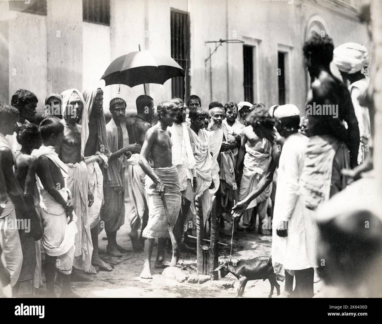 19th century vintage photograph: Animal slaughter, young goat, with watching crowd, India Stock Photo