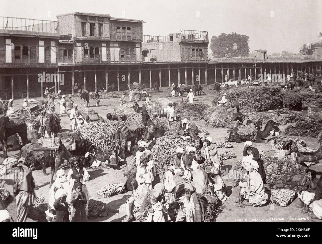 Vintage 19th century photograph, India - halt of a camel caravan, Peshawar, Khyber Pass, now Pakistan, Bourne and Shepherd studio Stock Photo