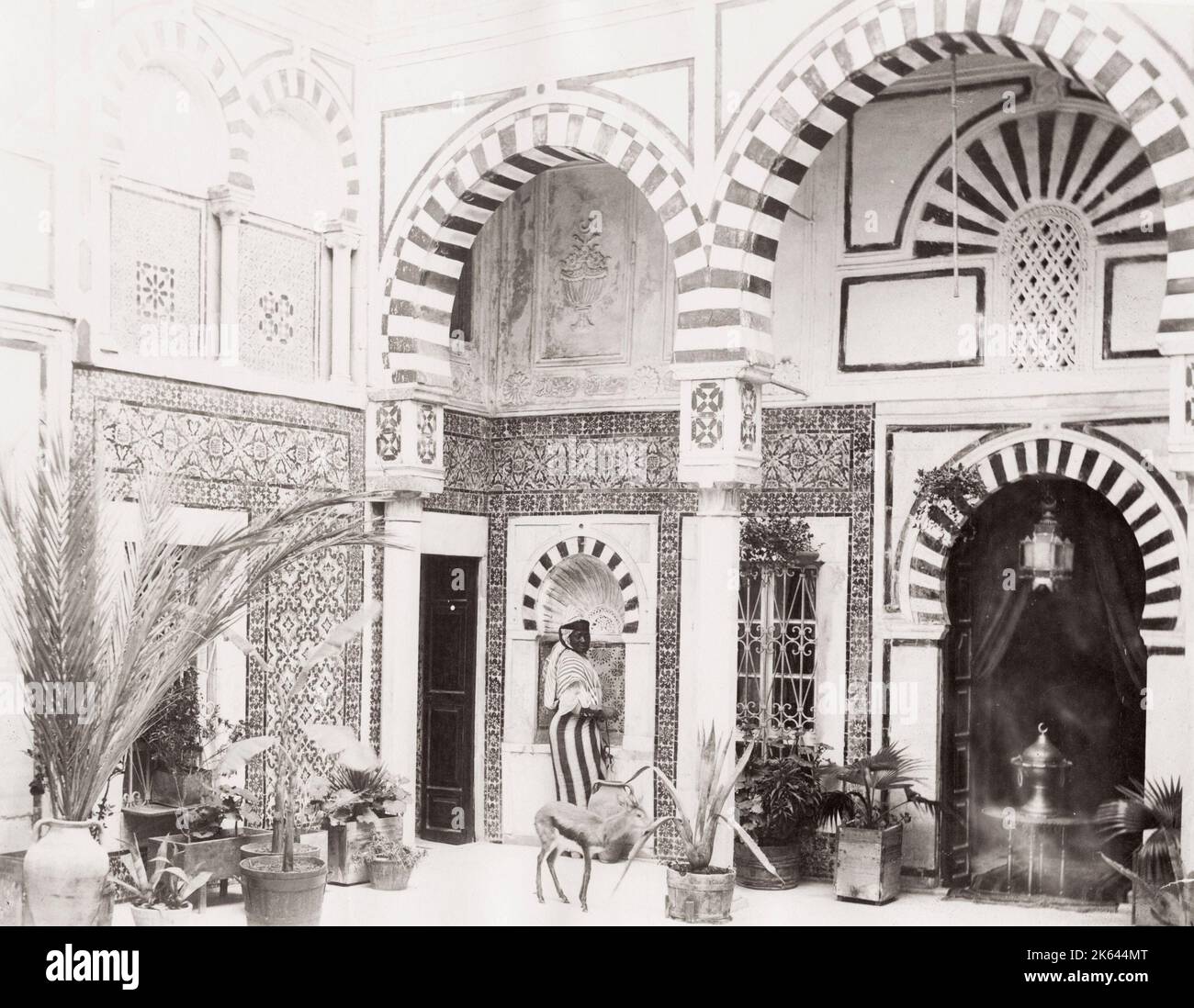 Vintage 19th century photograph: interior courtyard of an Arab home, house, Tunisia. Stock Photo